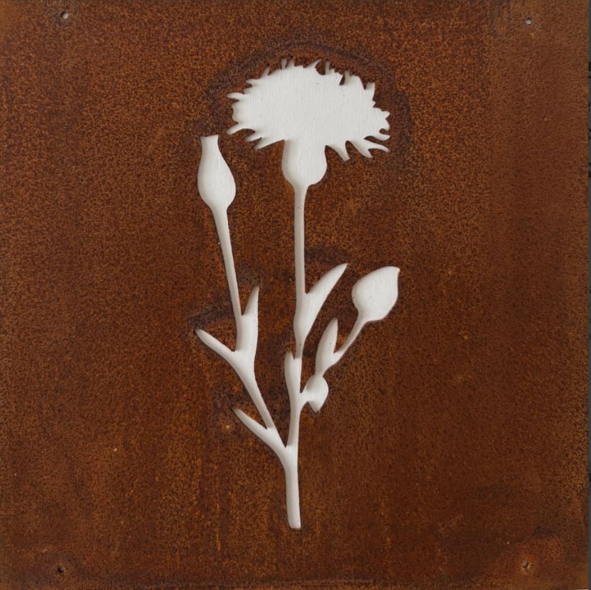 Dekorationer til rionet | Nellike