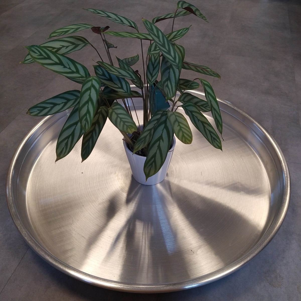 Billede af Aluminiums underfade-Ø 72 cm