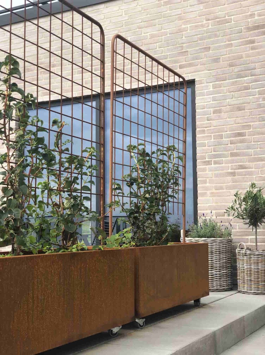Espalier til plantekasse Jern