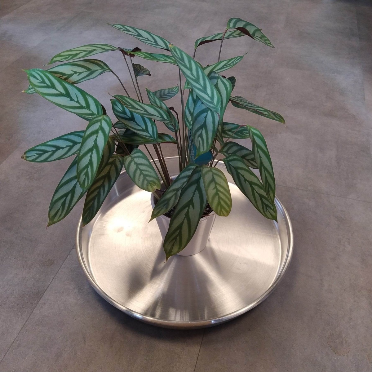 Billede af Aluminiums underfade-Ø 46 cm