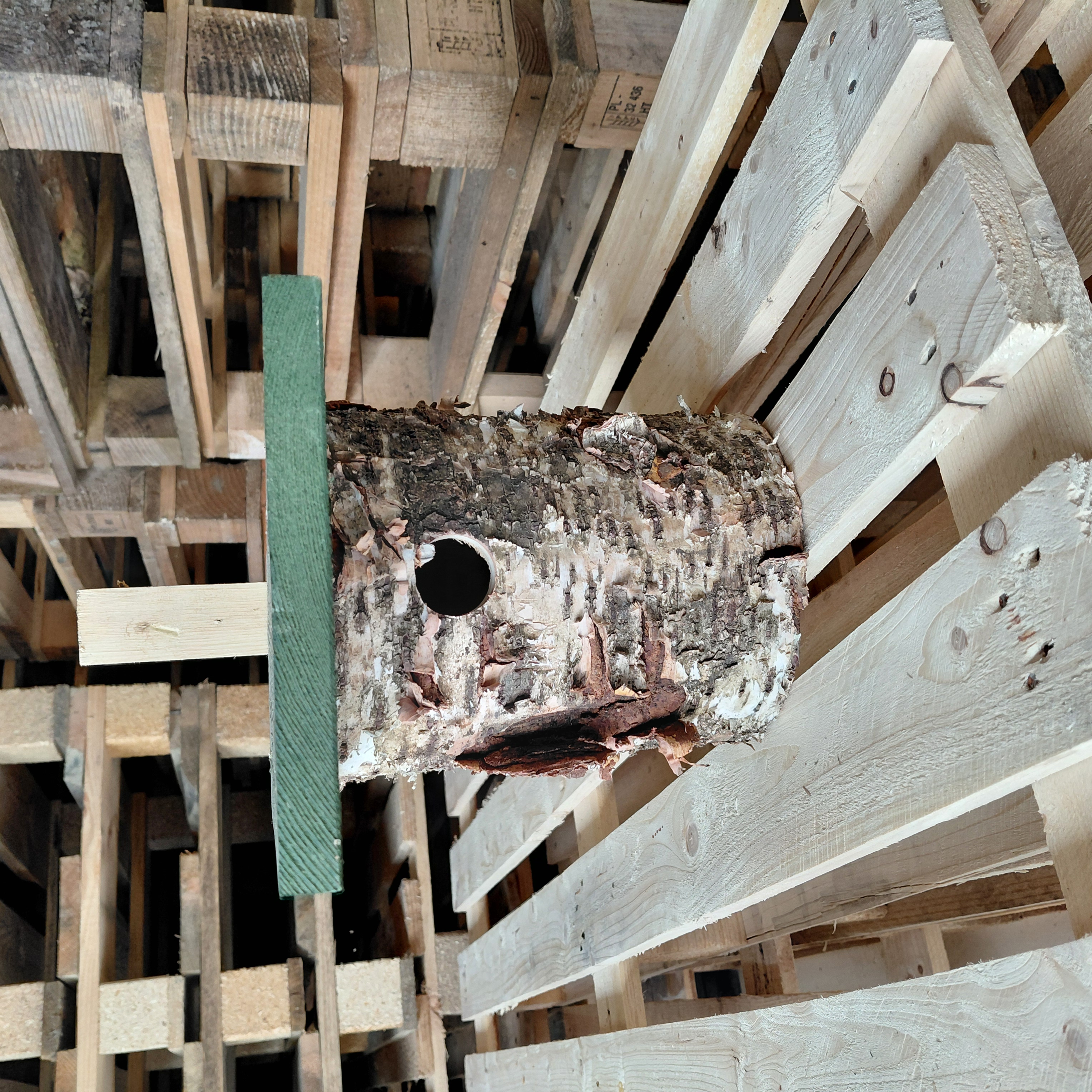 Redekasse natur | Birke Ø32 mm