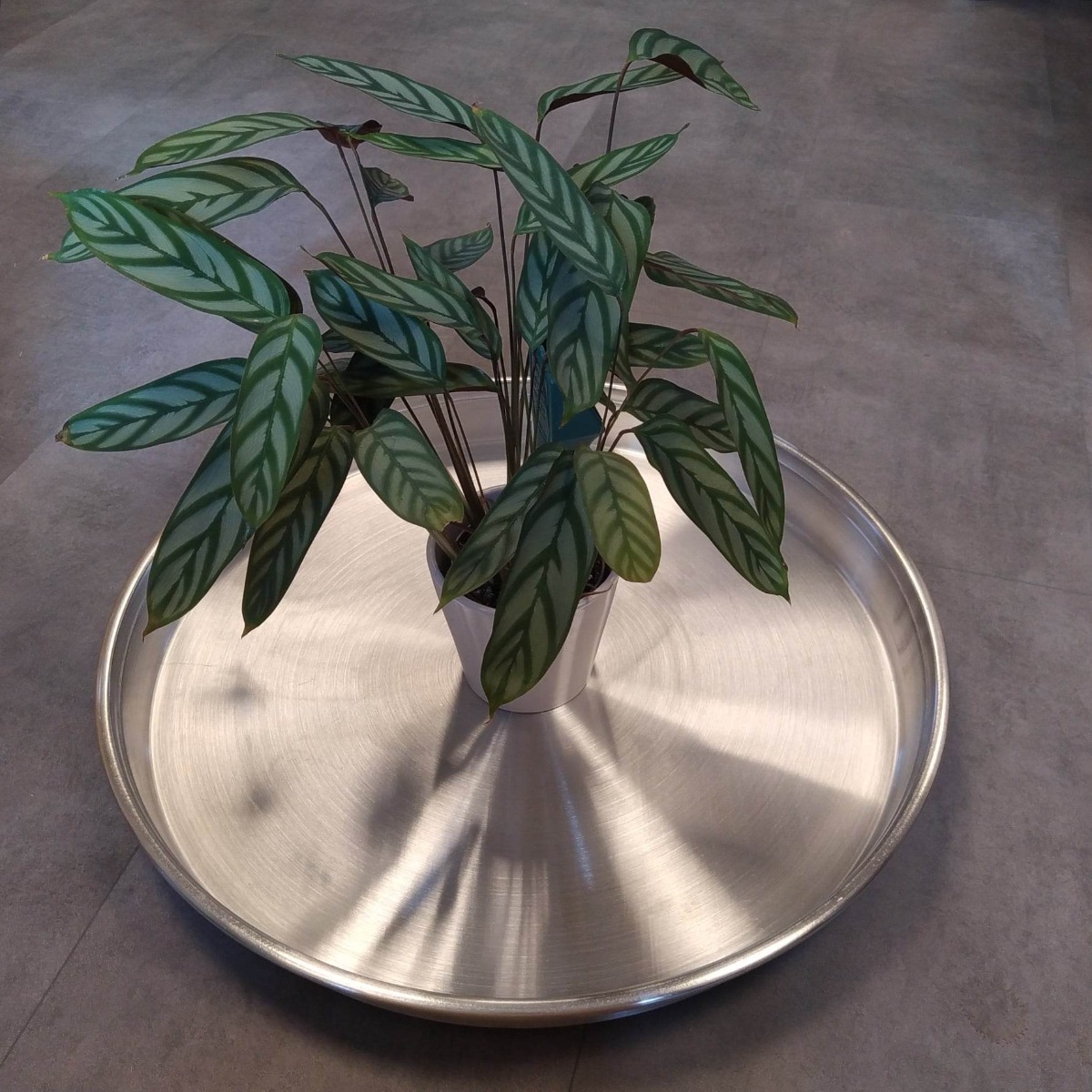 Billede af Aluminiums underfade-Ø 60 cm