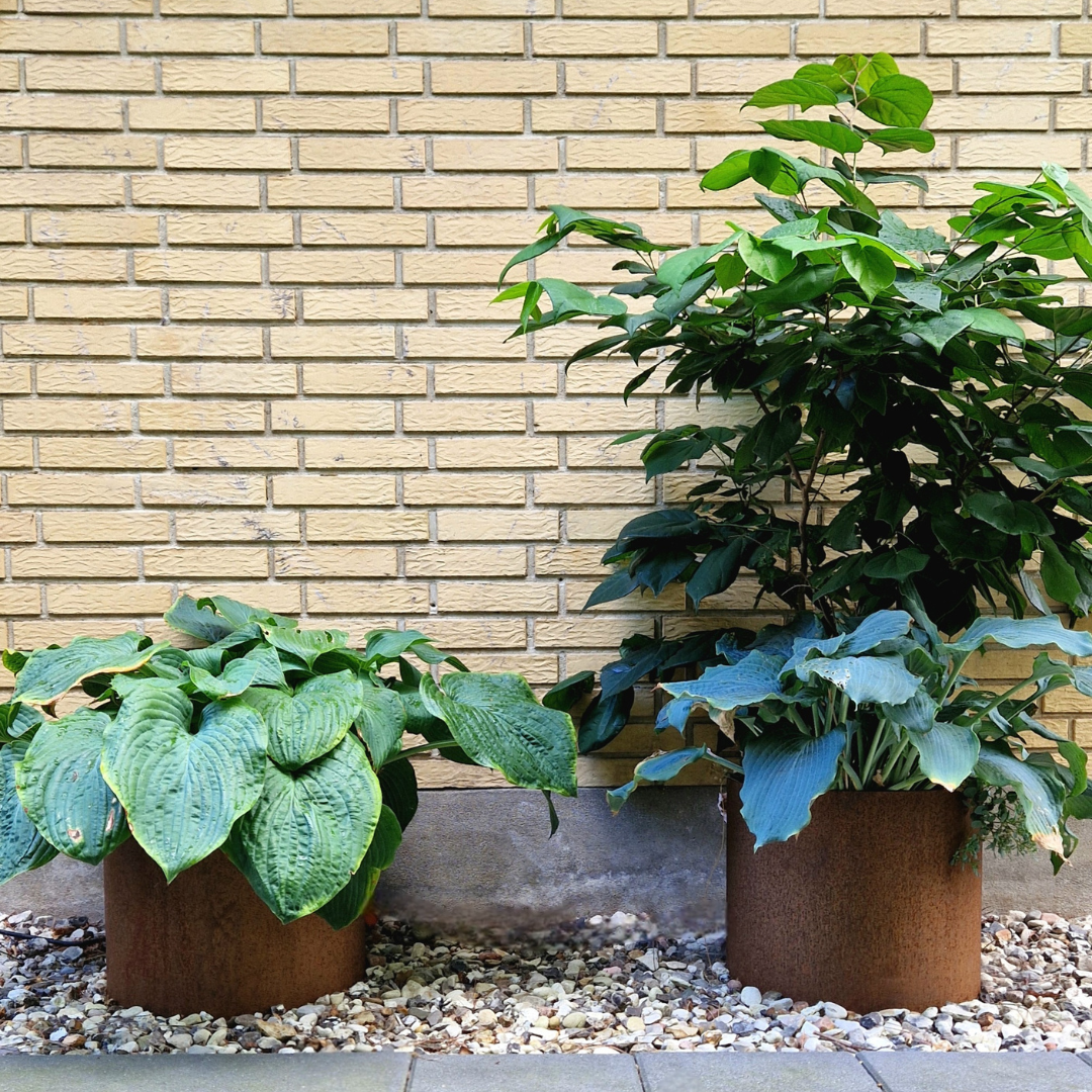 Rundt højbed Ø40, 40 cm høj | 2 mm cortenstål | Åben