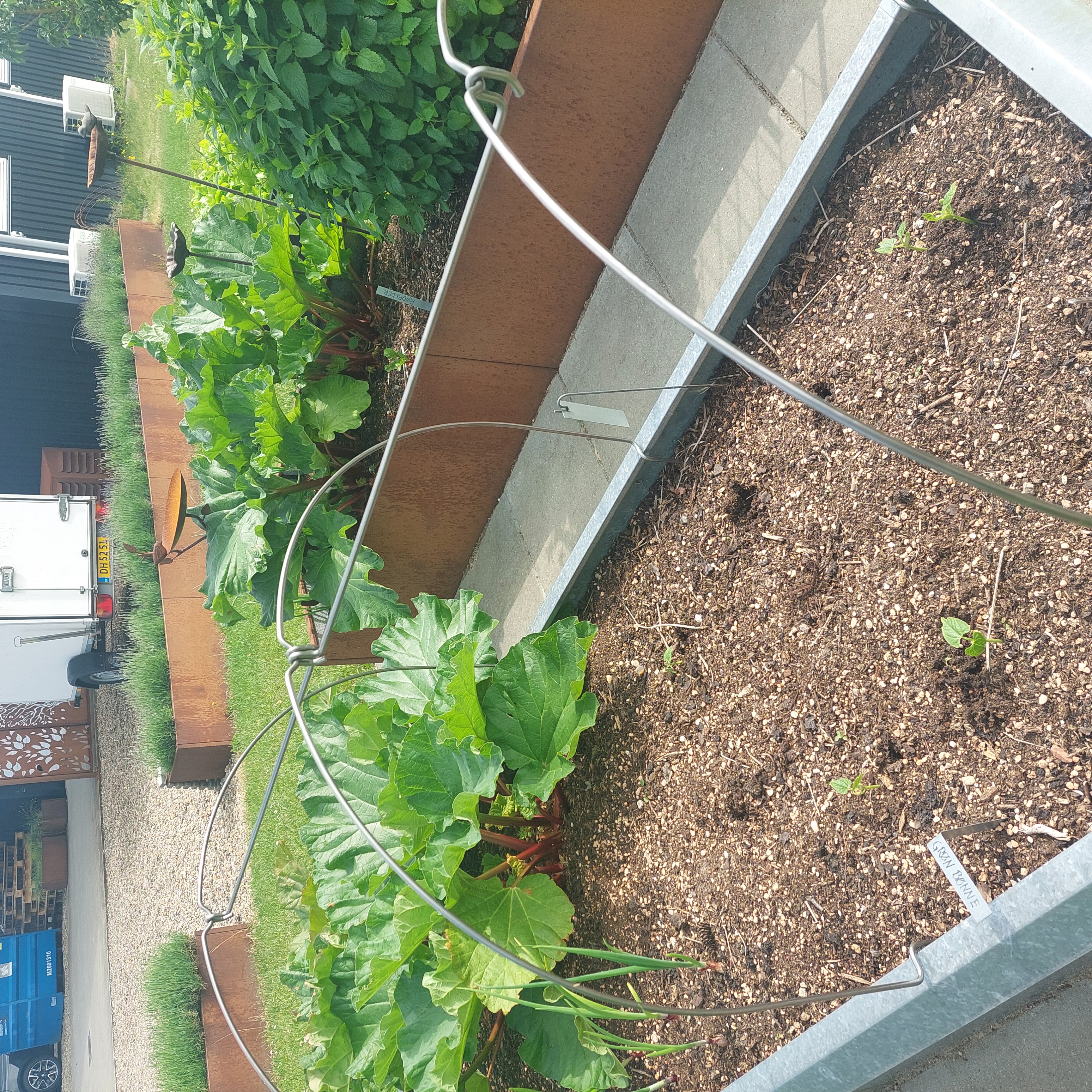 Buer til væksttunnel | 120 cm Bred