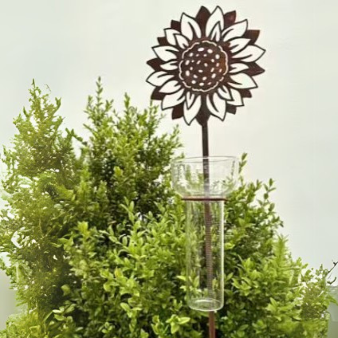 Regnm ler Med Solsikke Smuk Og Praktisk Havepynt