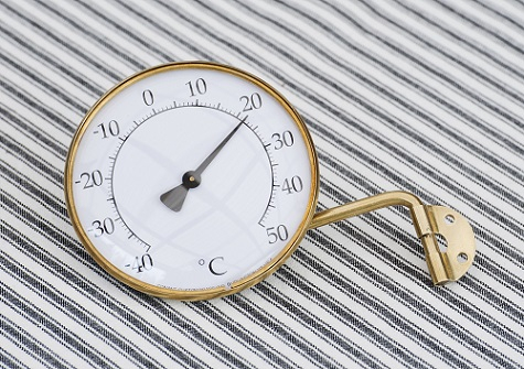 Udendørs messing-termometer - Rundt - Bird + Garden