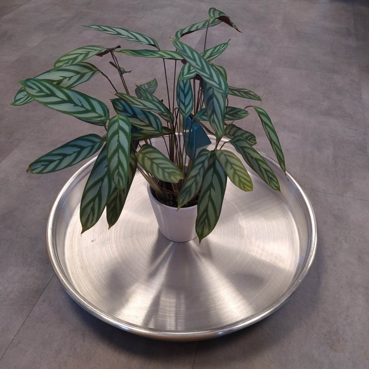 Billede af Aluminiums underfade-Ø 56 cm