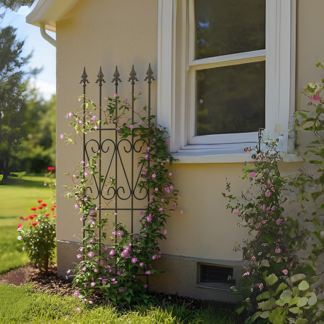 Spansk væg | højde 183 cm