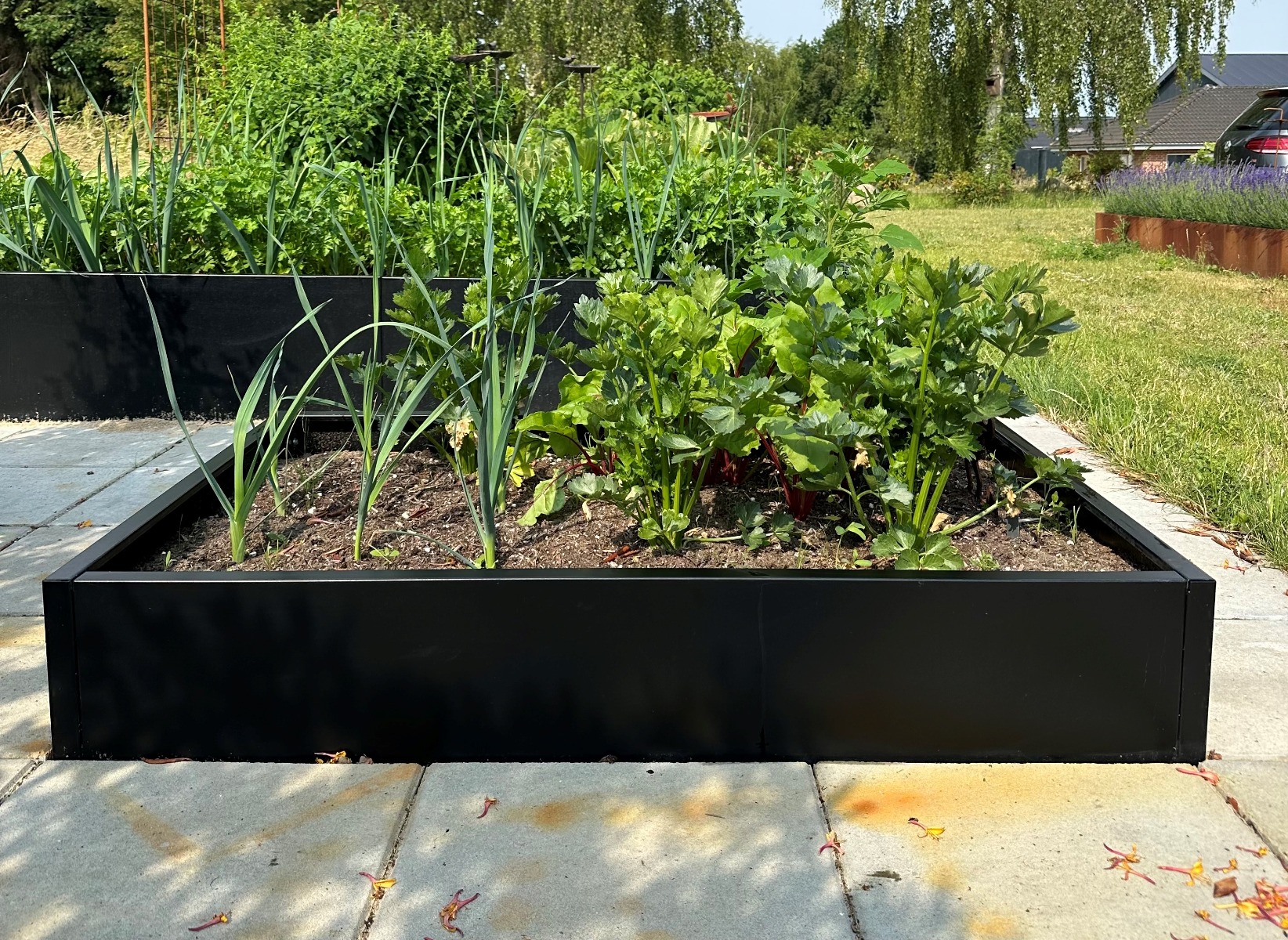 Højbed i sort | B120 H25 | L120 cm