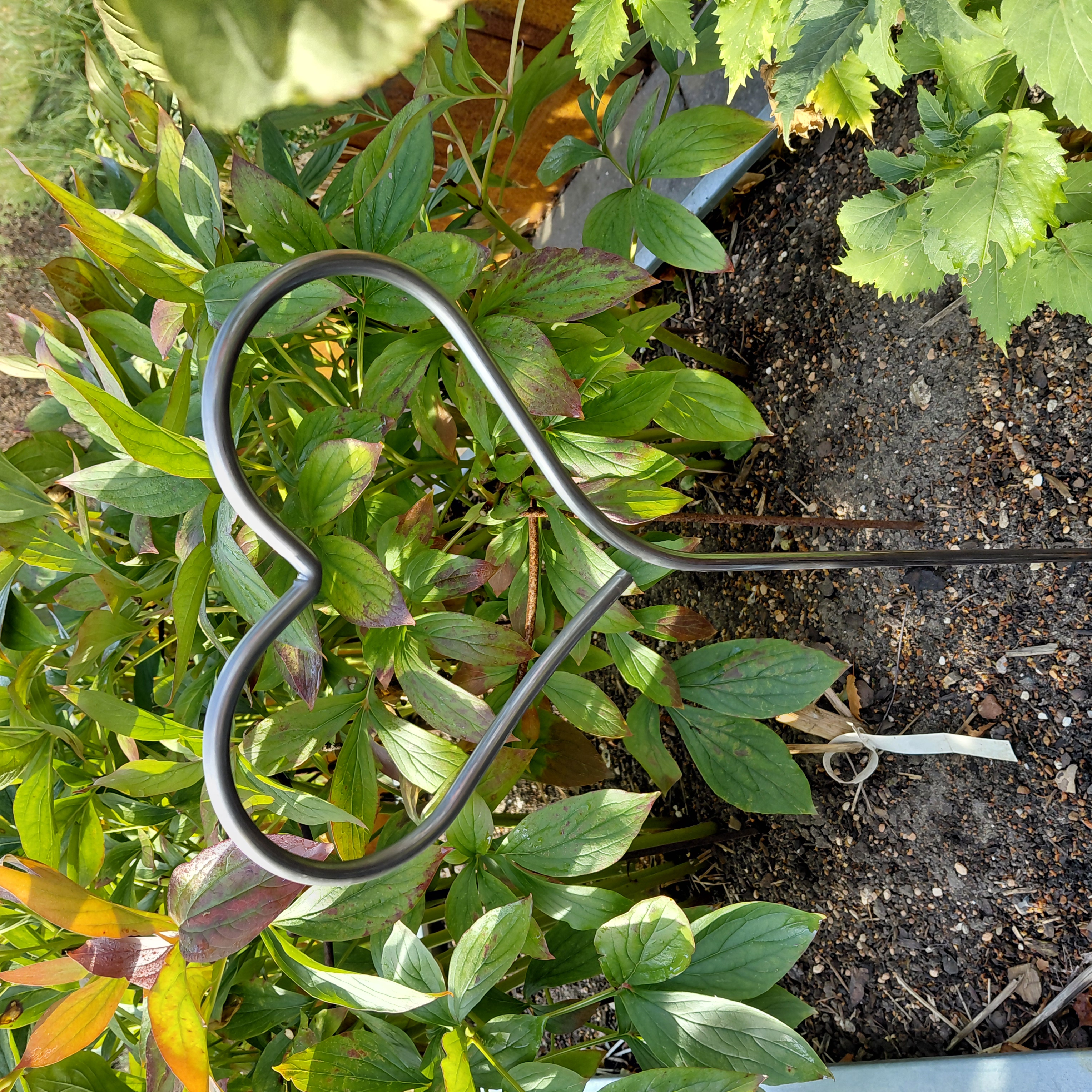 Hjerte på spyd | lille