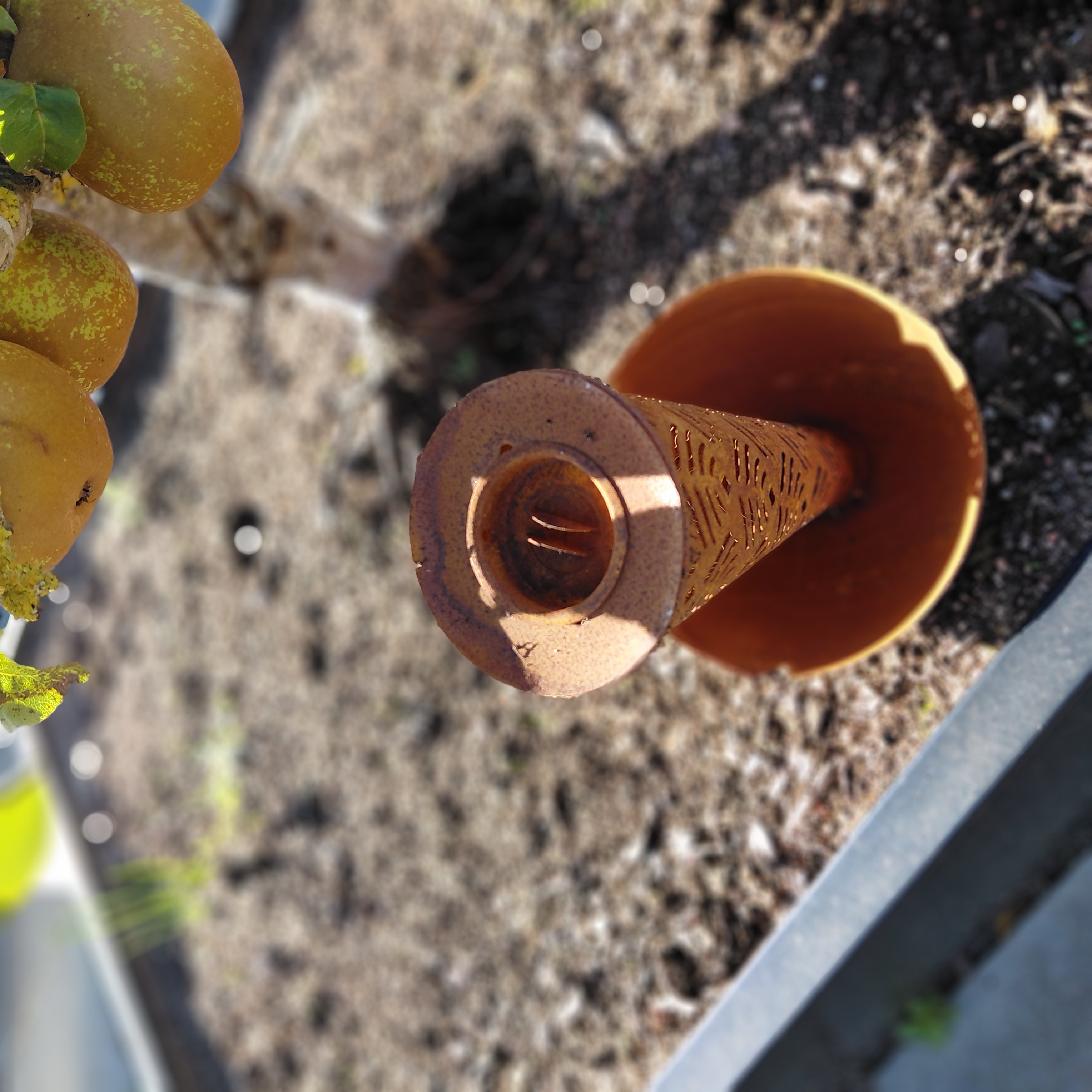 Svampesæt med mønster | sæt med 3 størrelser