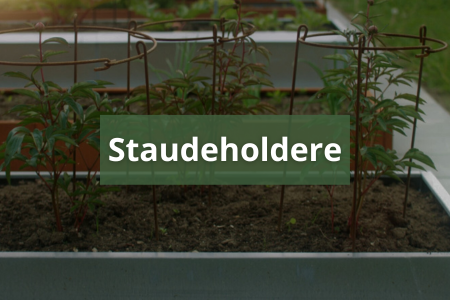Staudeholdere_-_st_tte_til_dine_stauder