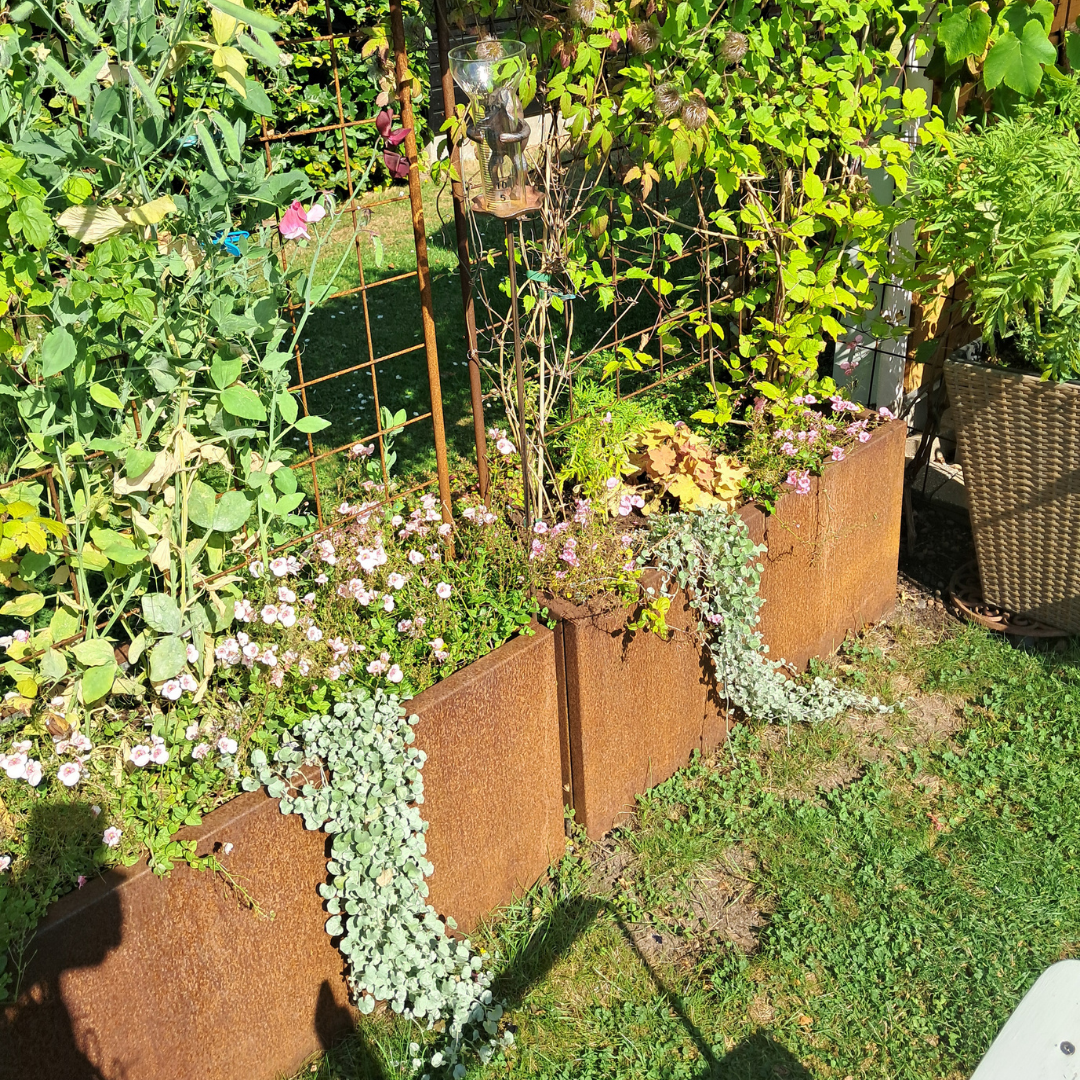 Plantekasse corten m/espalier 80 x 40 x 40 cm