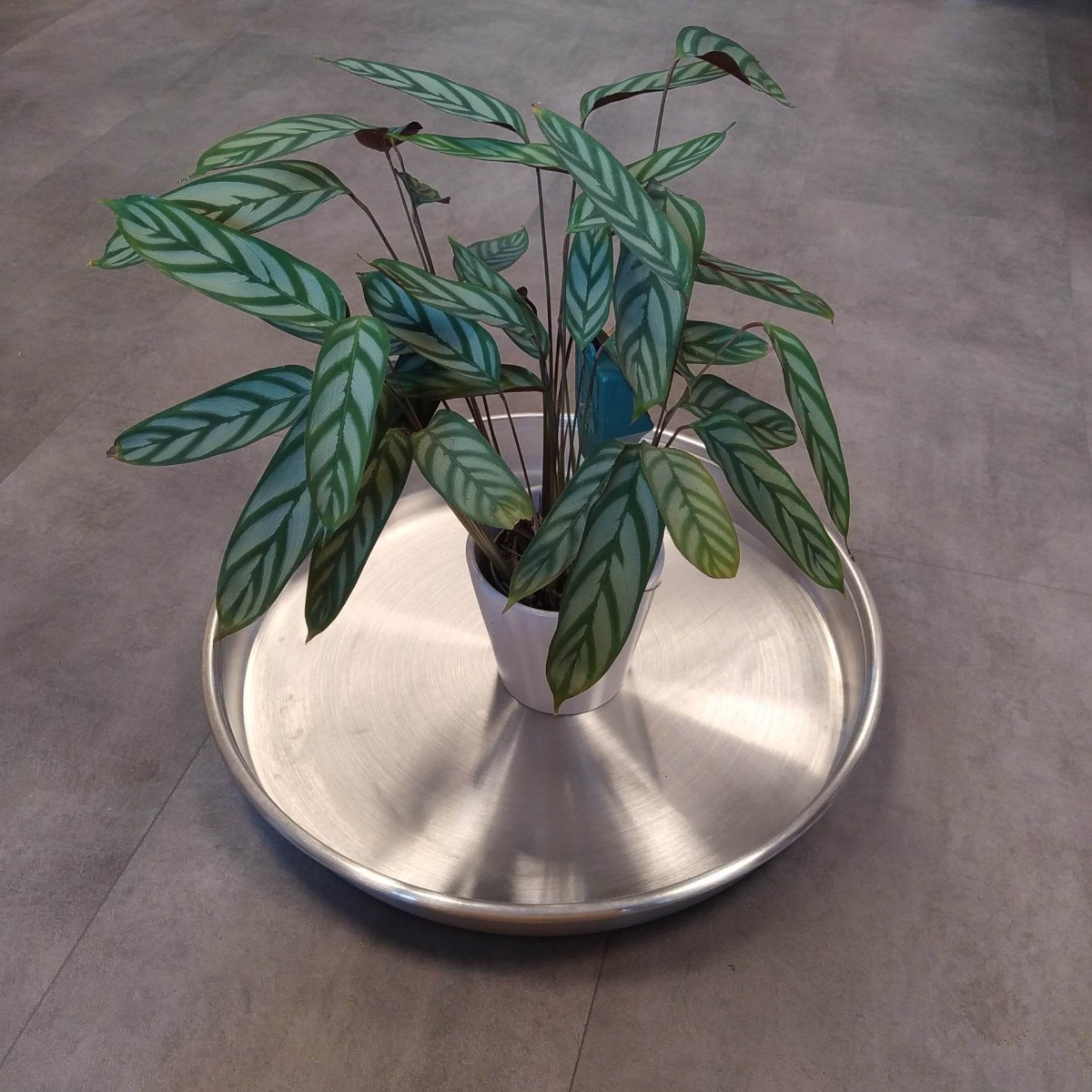 Billede af Aluminiums underfade-Ø 50 cm