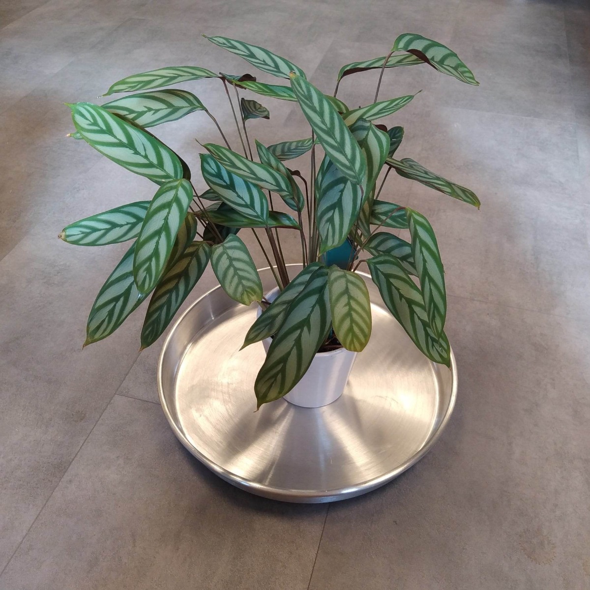 Billede af Aluminiums underfade-Ø 40 cm