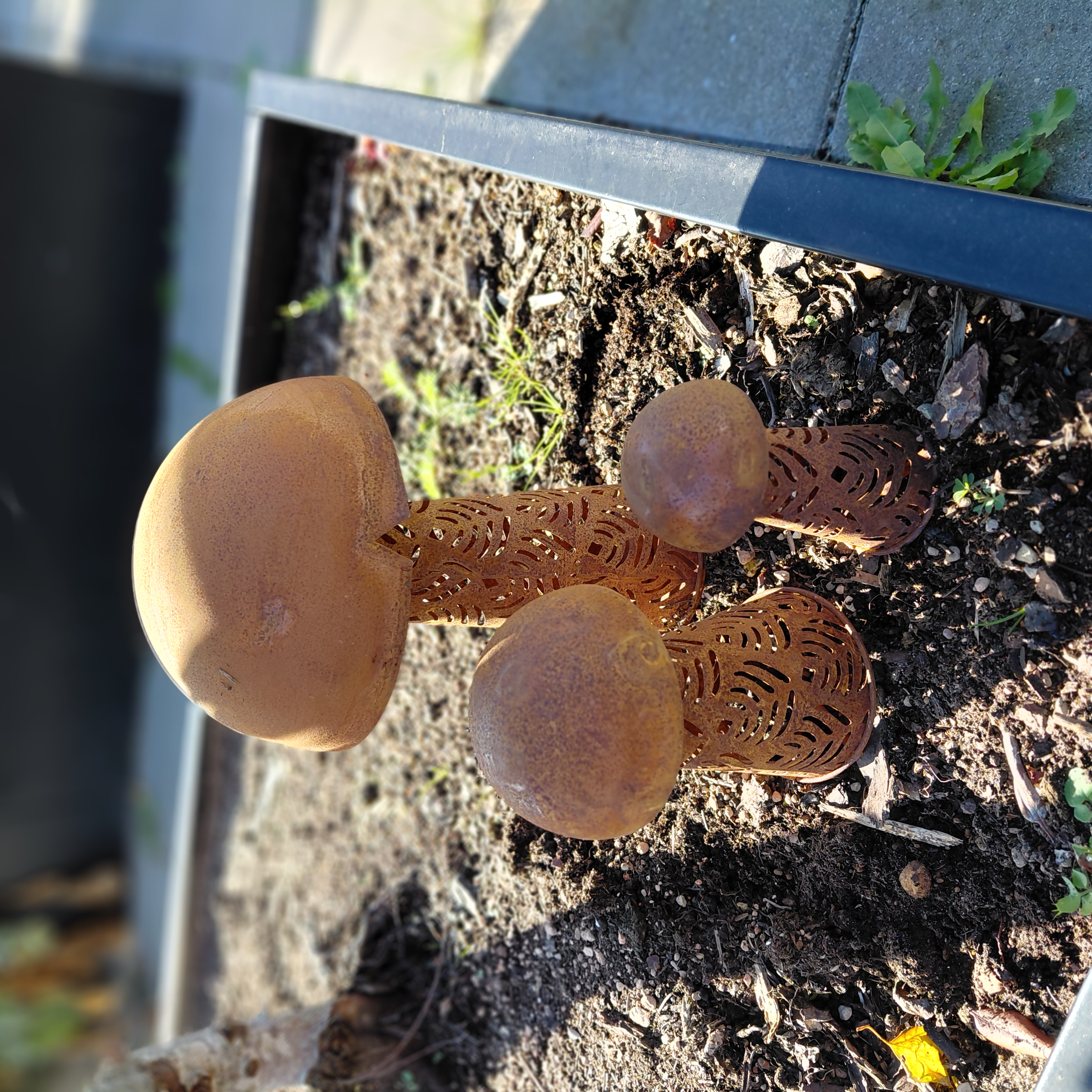 Svampesæt med mønster | sæt med 3 størrelser