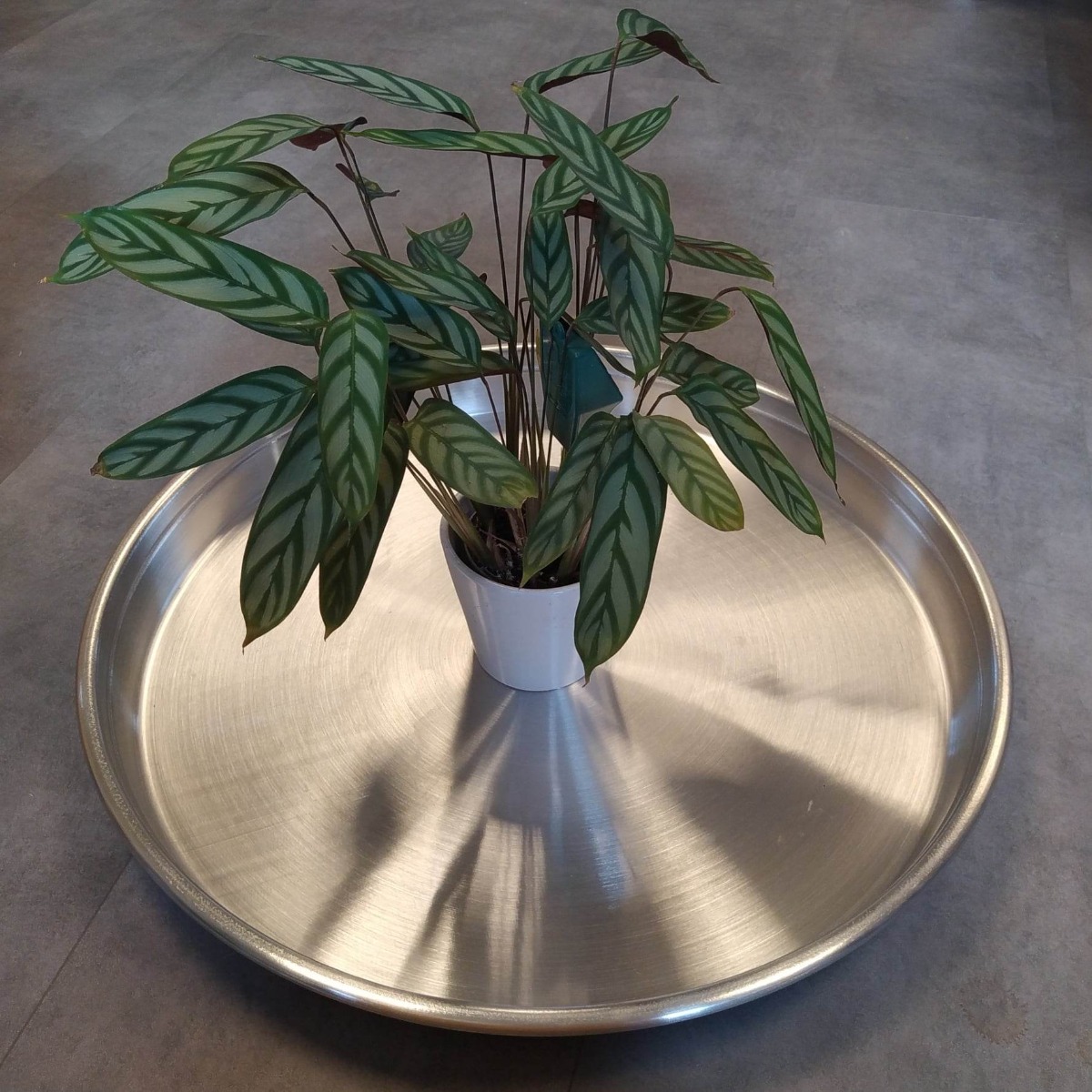 Billede af Aluminiums underfade-Ø 68 cm