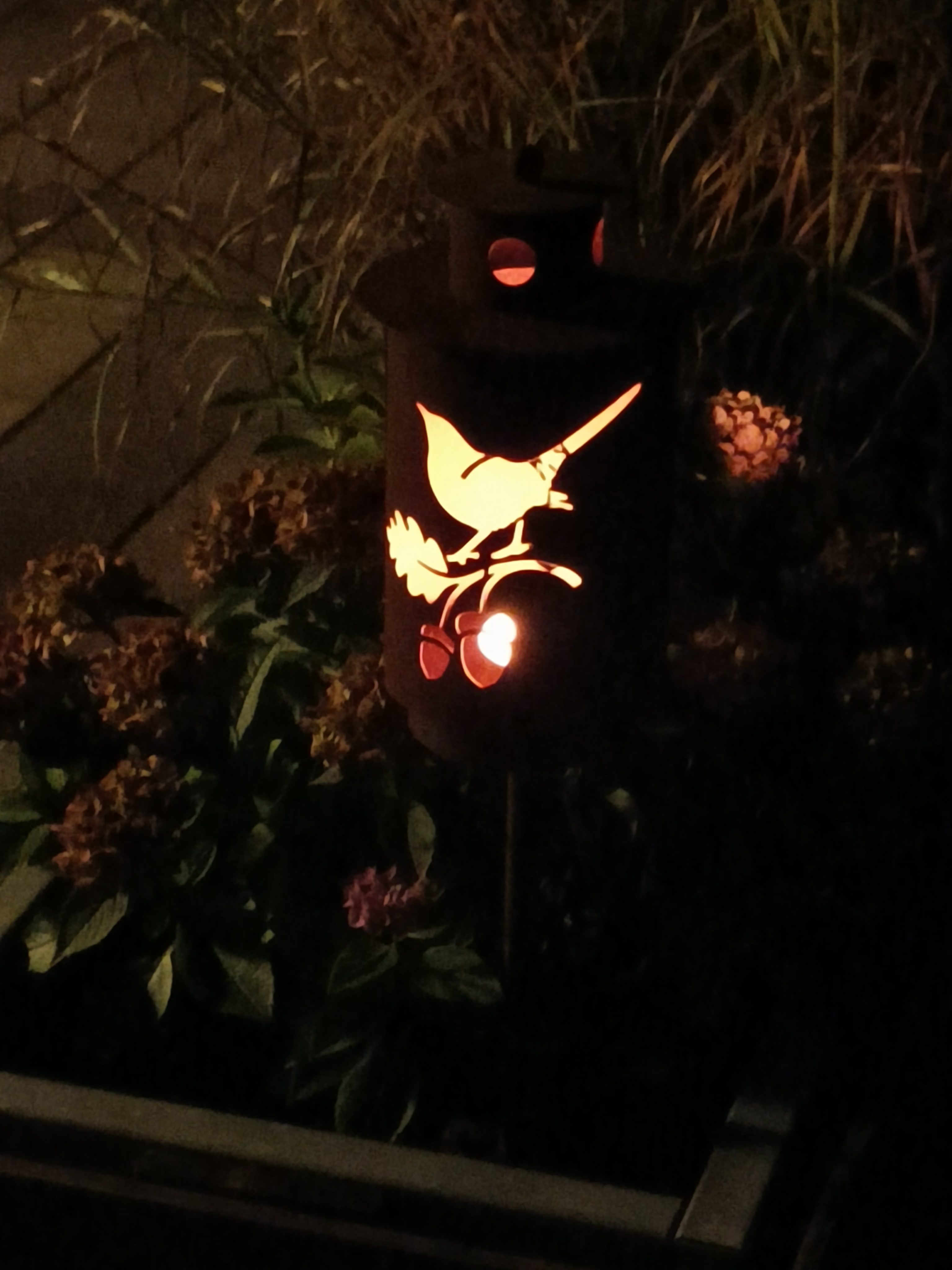 Lanterne på spyd med fugl