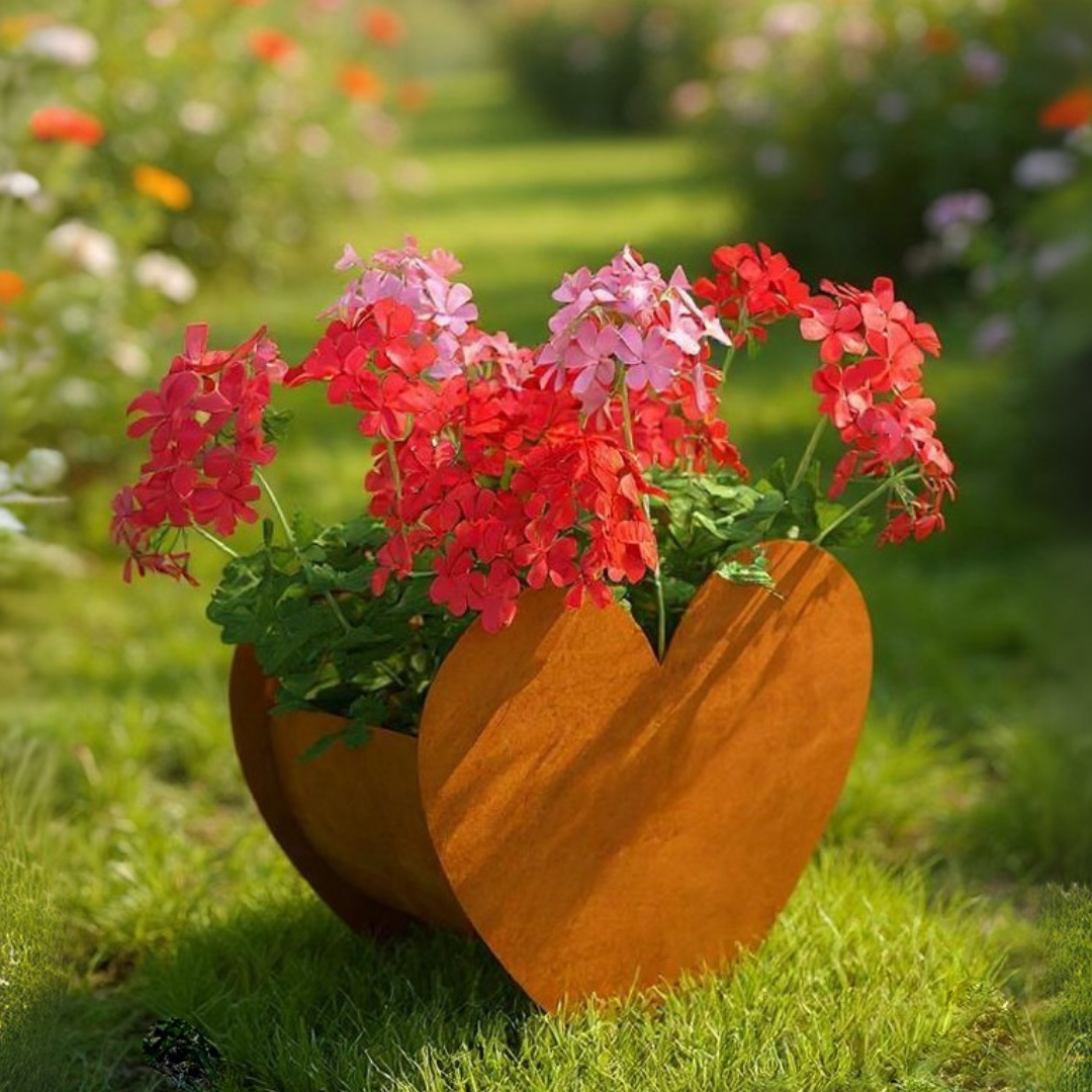 Hjerte blomsterbed | Mellem