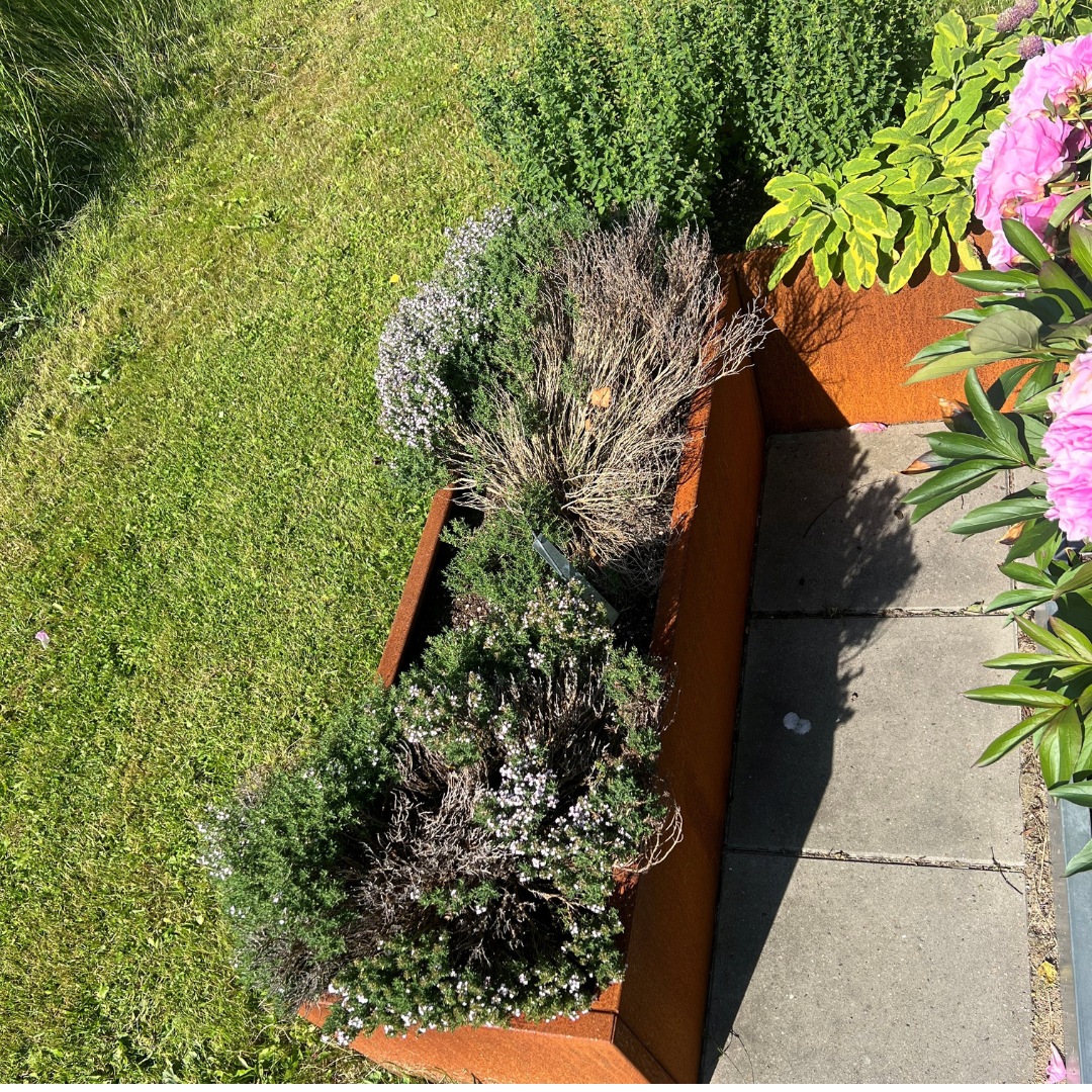 Hjørne højbed i corten | B40 H40 | L157 cm
