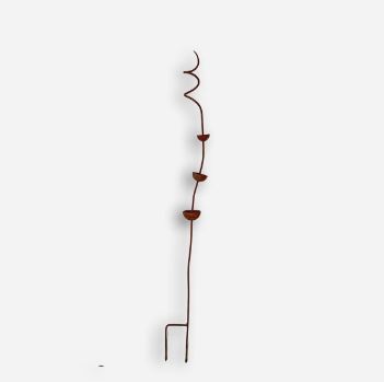 Dekoration Insektbar på spiral