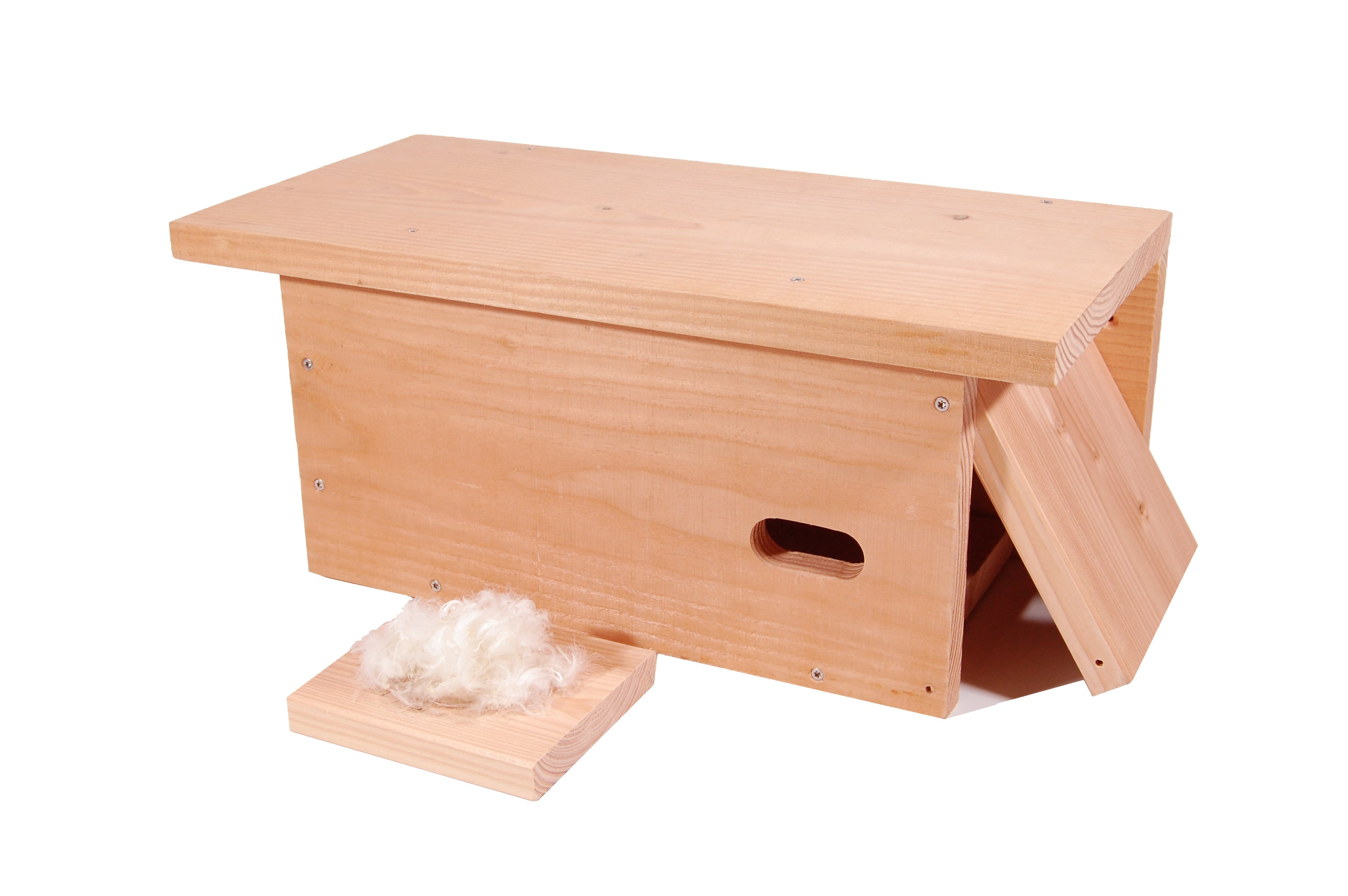 Mursejlerkasse i gran med redeskål