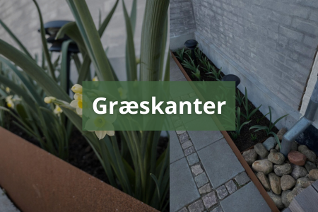 5_gode_grunde_til_gr_skanter