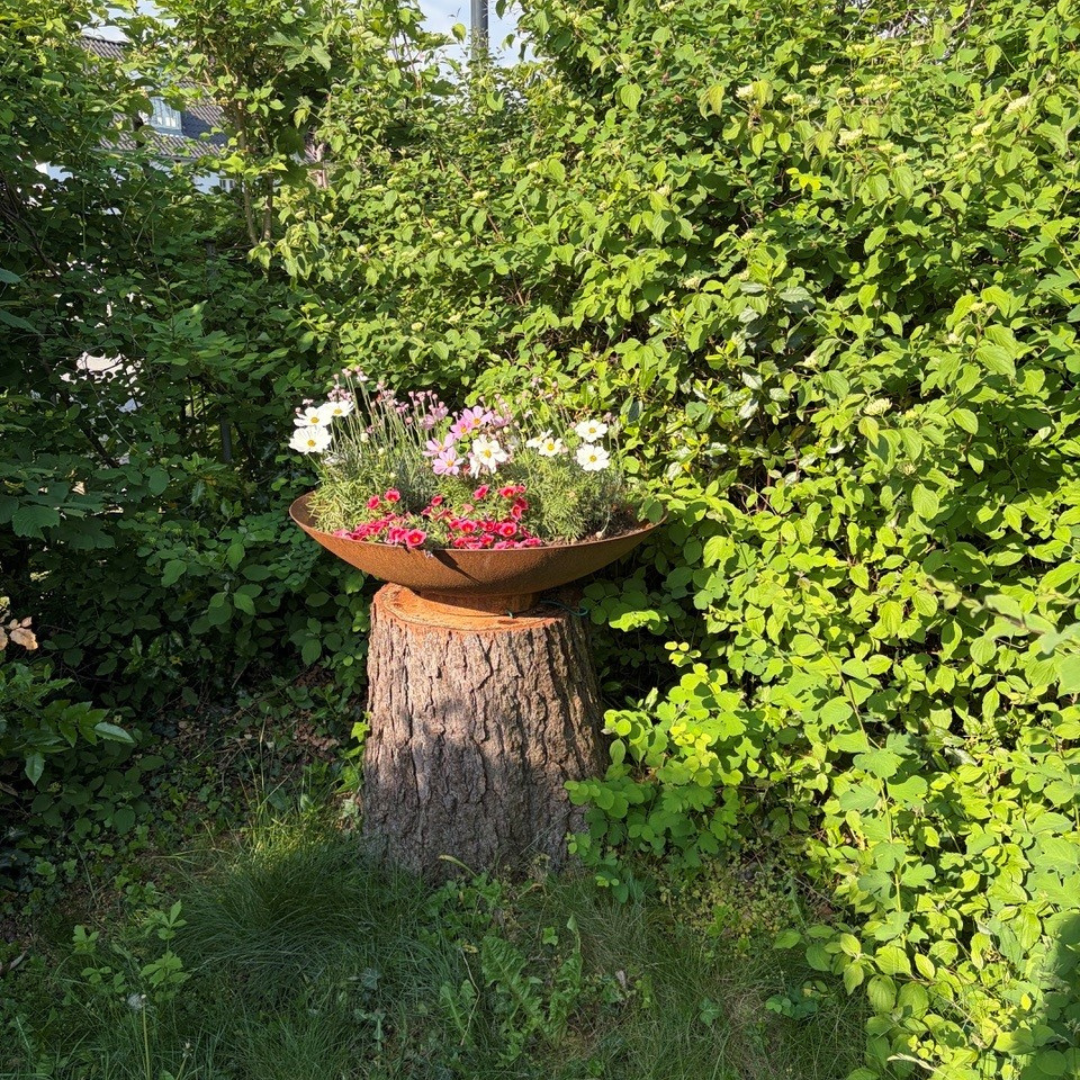 Plantefad rundt